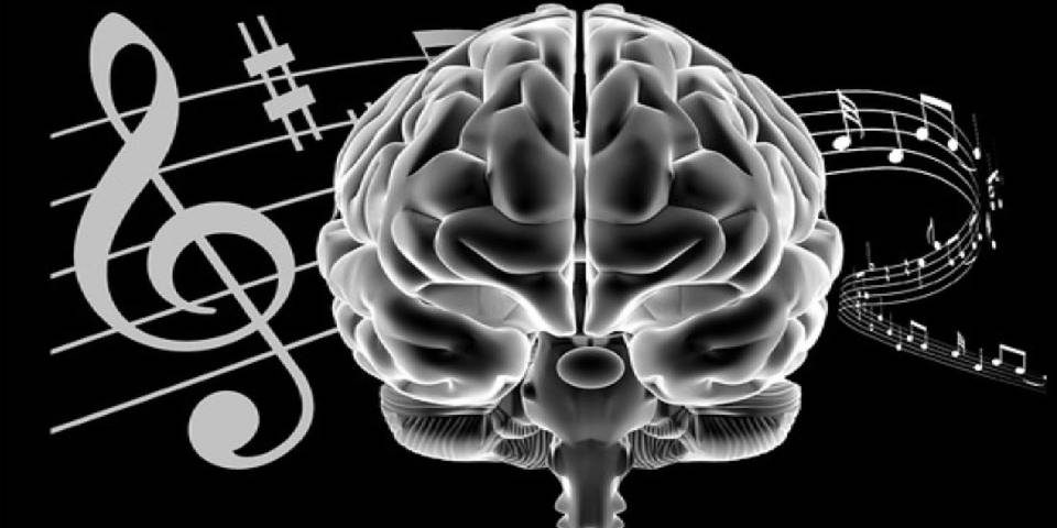 An Edited Image of Human Brain Surrounded By Musical Waves.
